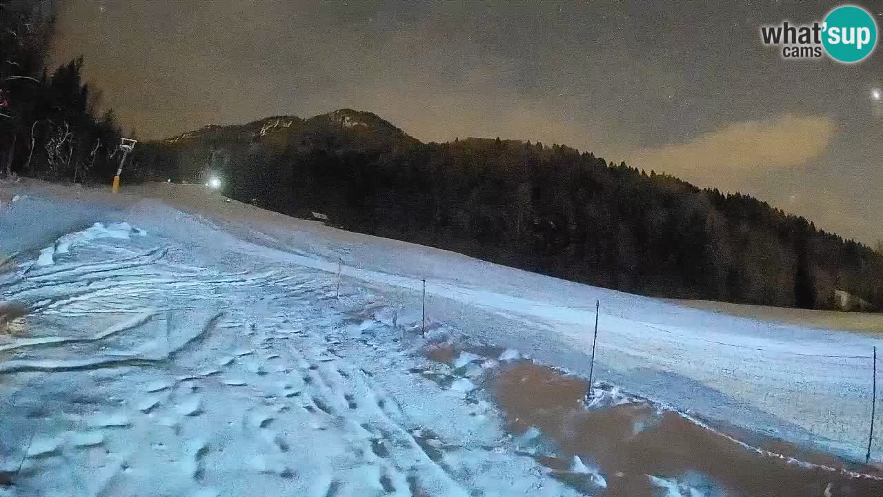 Kranjska Gora Station de ski | Brsnina