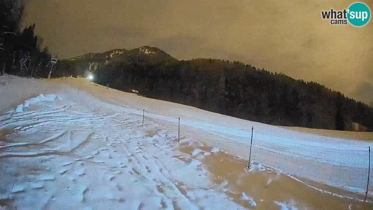 RTC Skigebiet Kranjska Gora | Brsnina