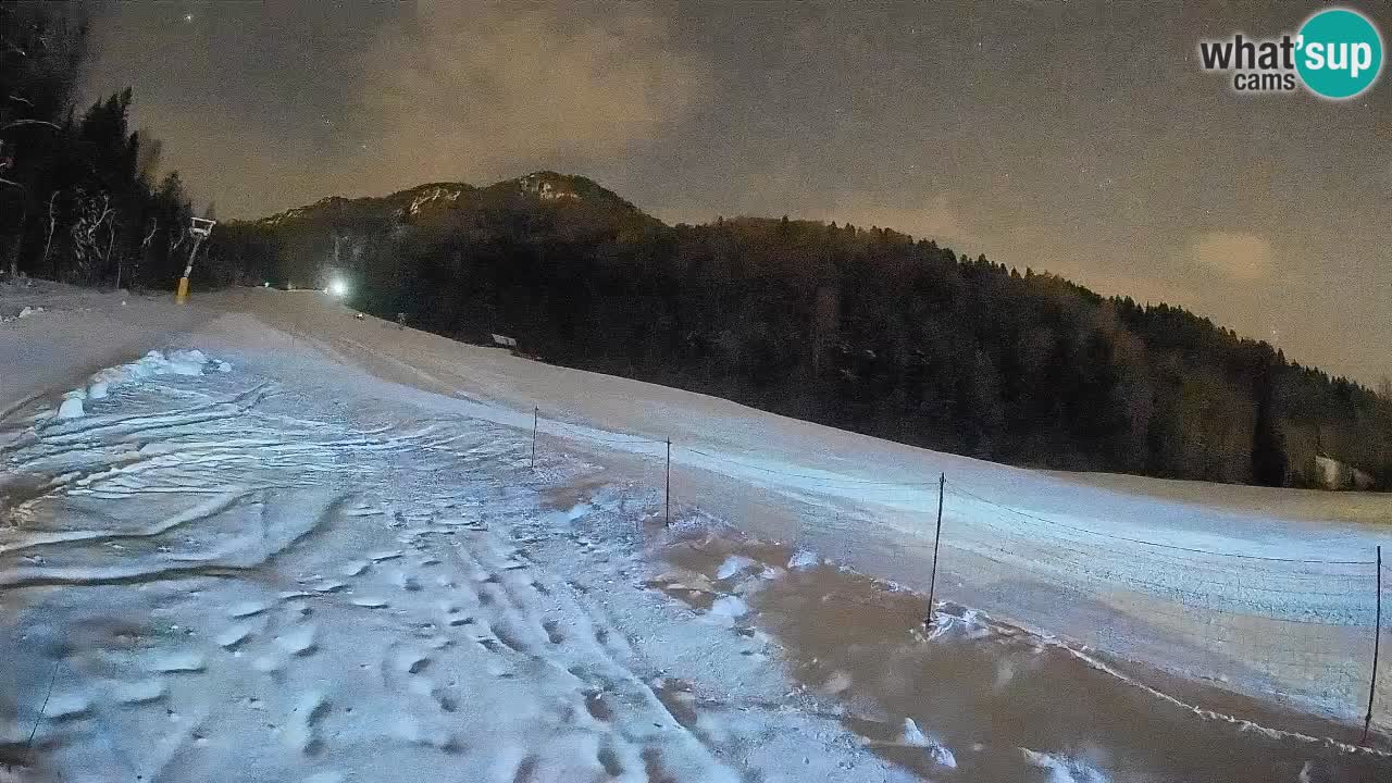 RTC Skigebiet Kranjska Gora | Brsnina