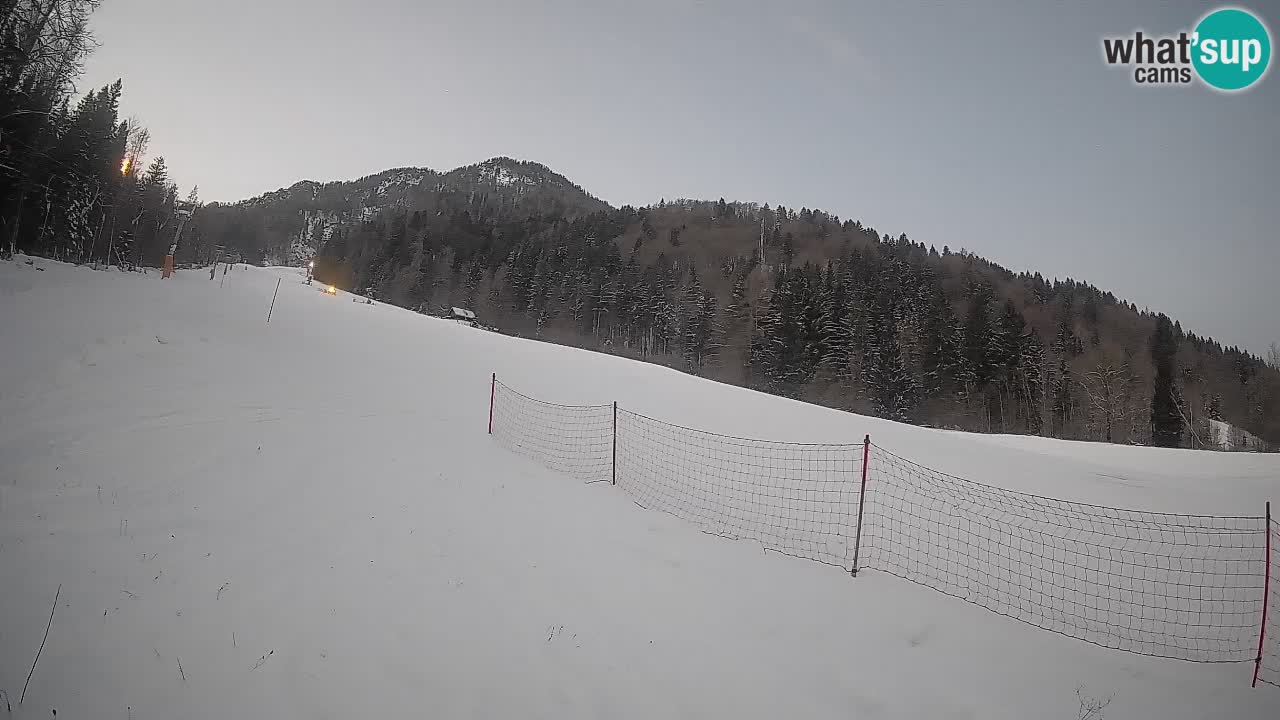 RTC Kranjska Gora | Brsnina