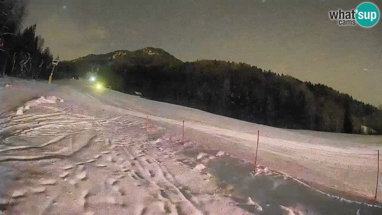 RTC Kranjska Gora | Brsnina