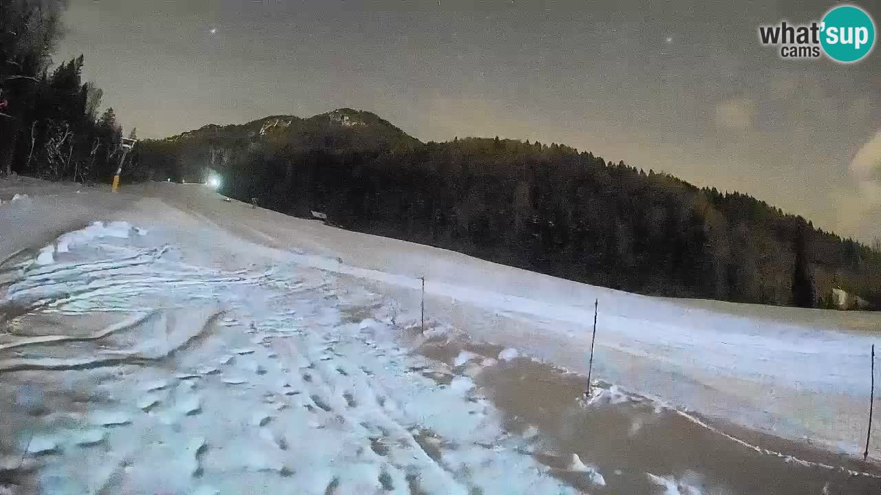 Comprensorio sciistico Kranjska Gora | Brsnina