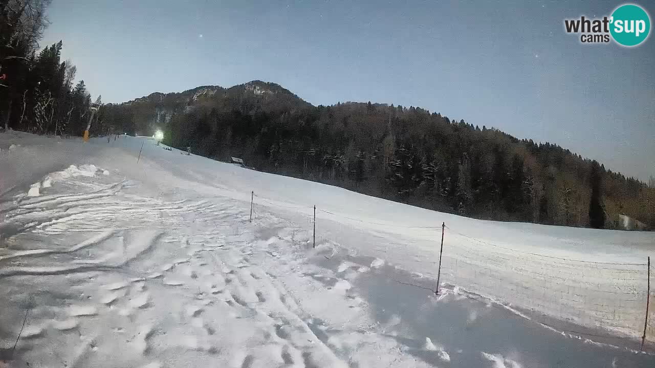 Ski Kranjska Gora | Brsnina