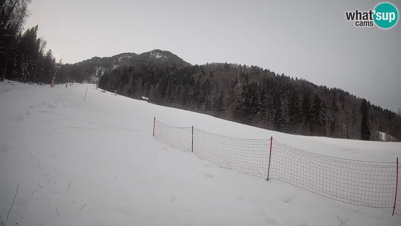 Kranjska Gora SKIJANJE | Brsnina