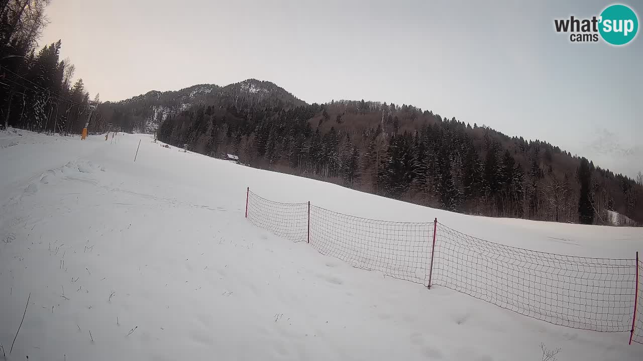 Kranjska Gora Station de ski | Brsnina