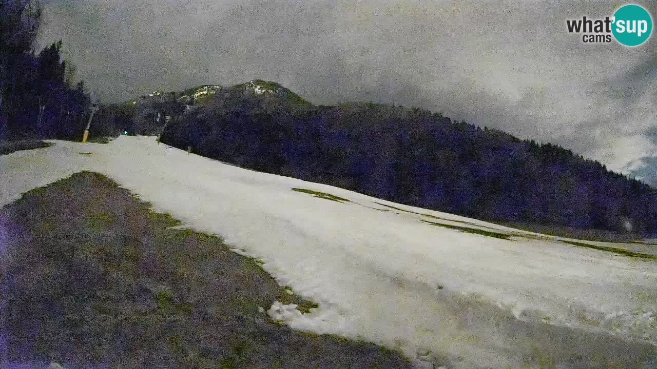 Comprensorio sciistico Kranjska Gora | Brsnina