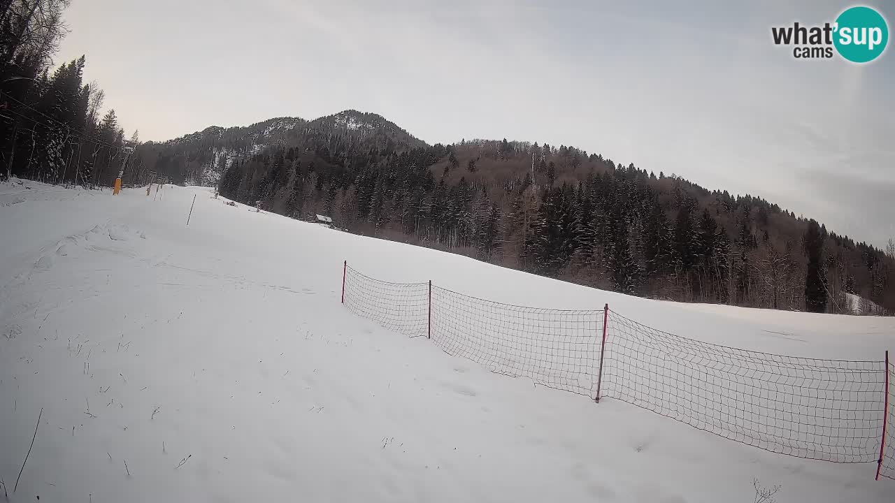Kranjska Gora SKIJANJE | Brsnina
