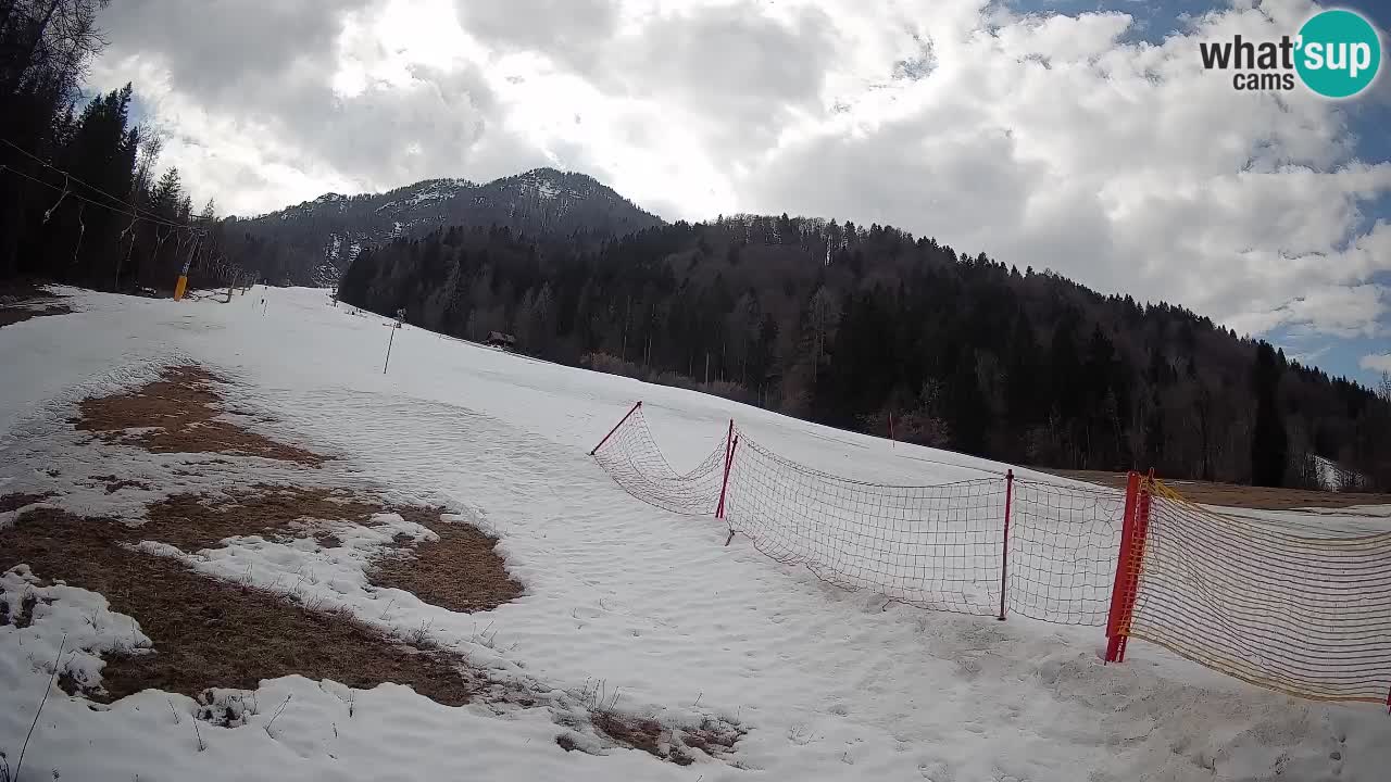 Comprensorio sciistico Kranjska Gora | Brsnina