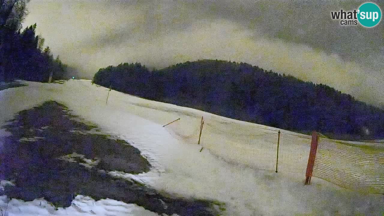 Kranjska Gora Station de ski | Brsnina