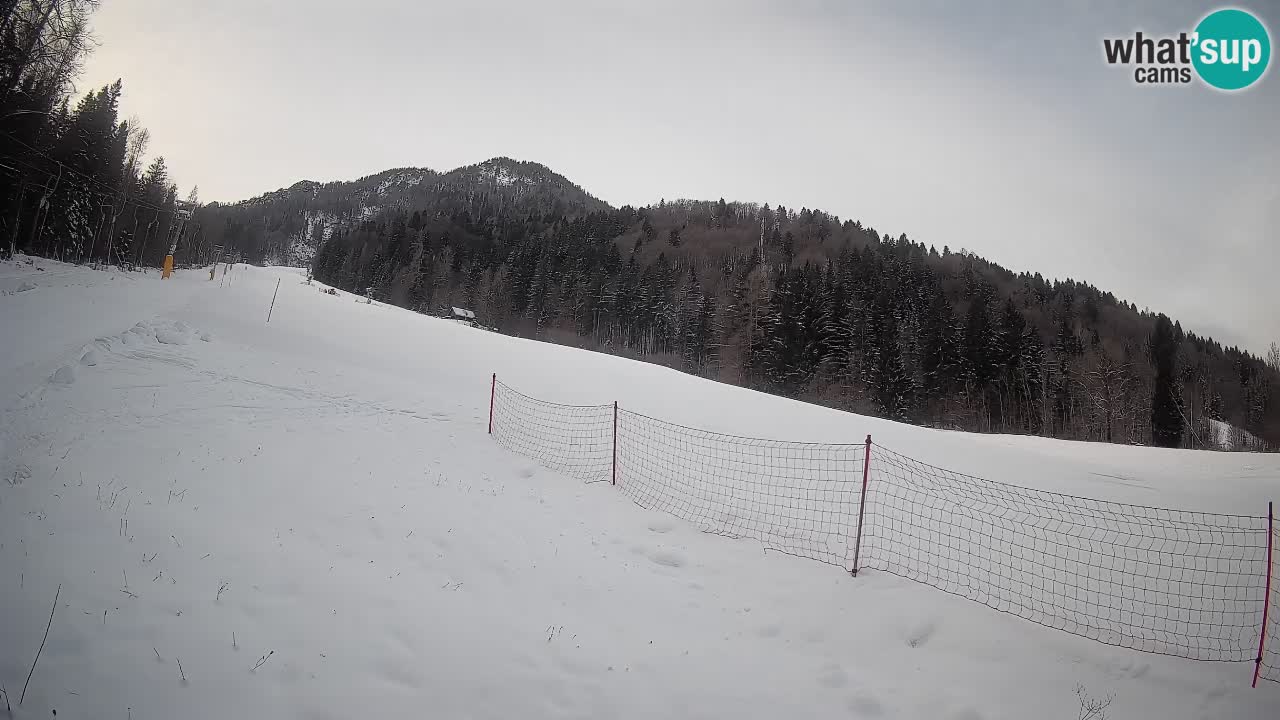 Kranjska Gora SKIJANJE | Brsnina