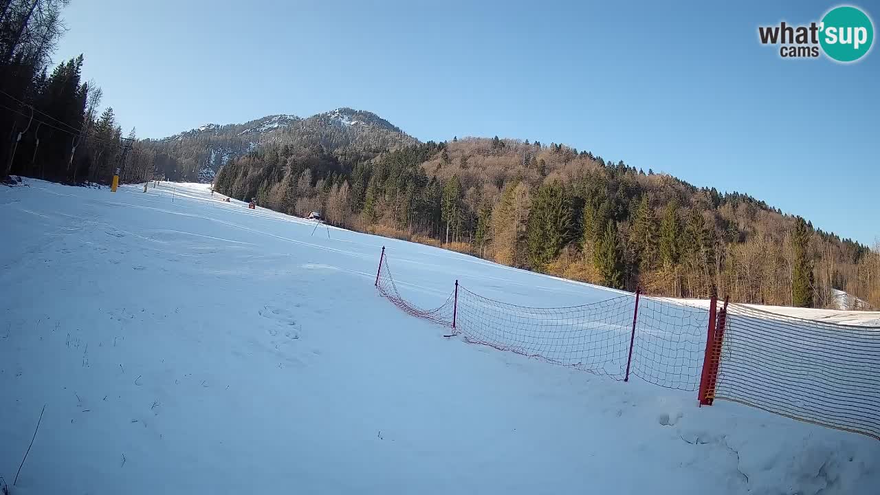 Ski Kranjska Gora | Brsnina