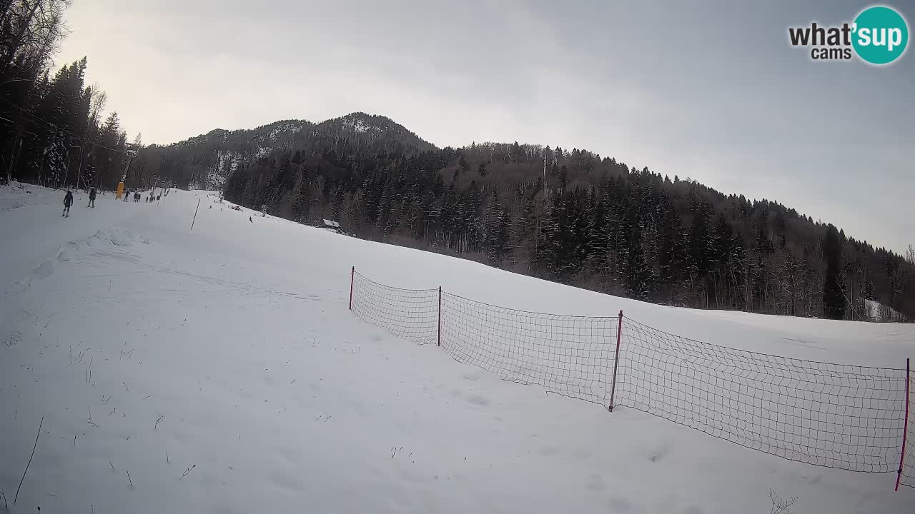 Ski Kranjska Gora | Brsnina