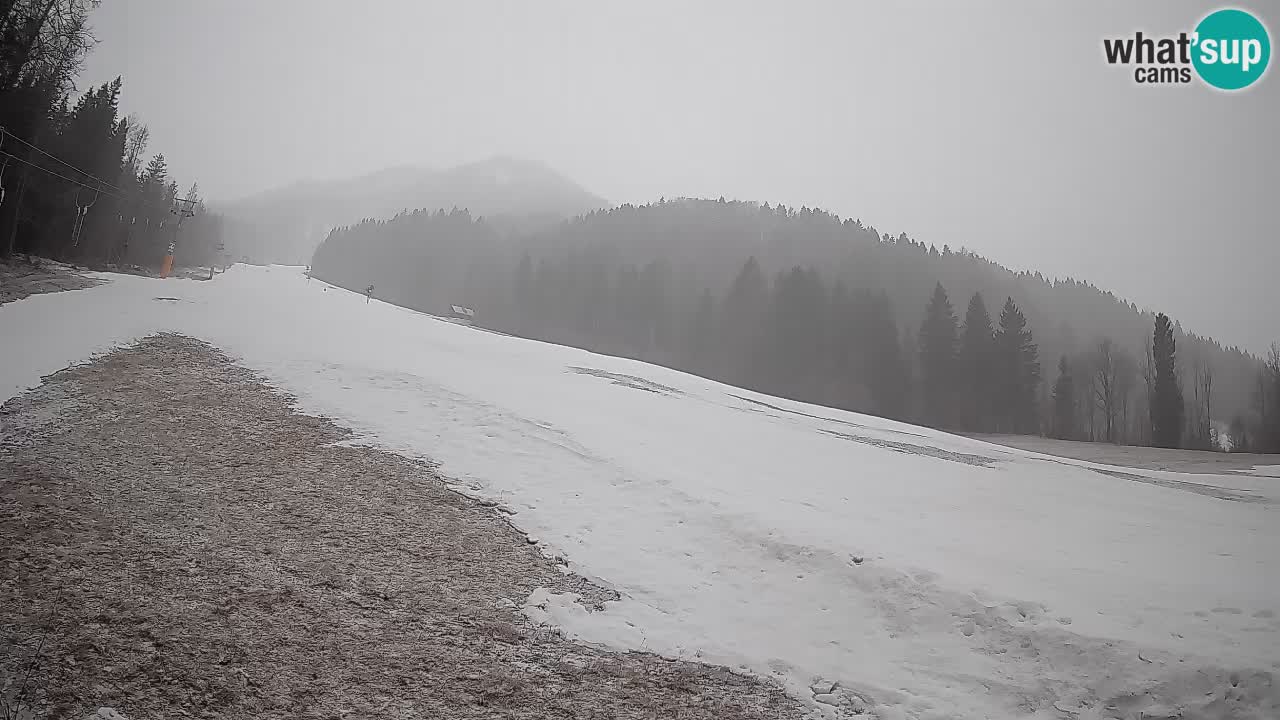 Ski Kranjska Gora | Brsnina
