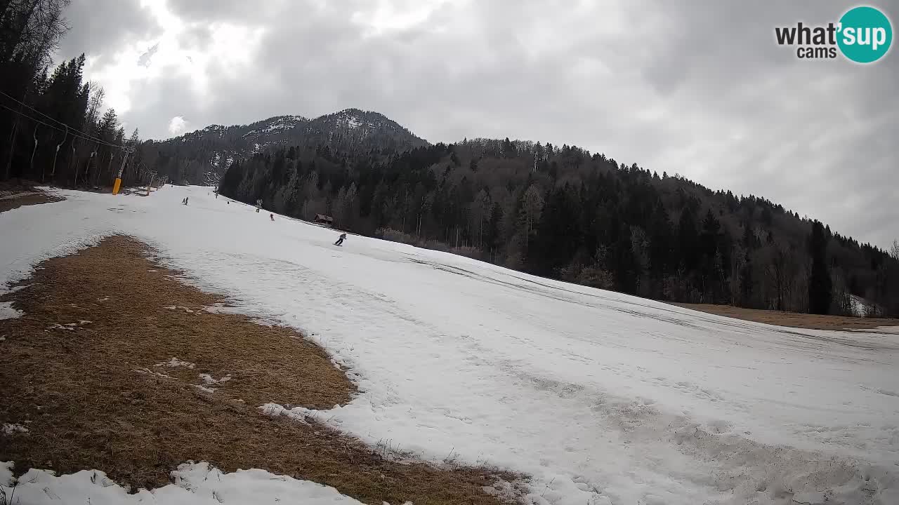 RTC Kranjska Gora | Brsnina