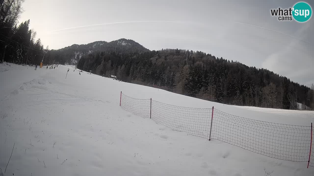 Ski Kranjska Gora | Brsnina