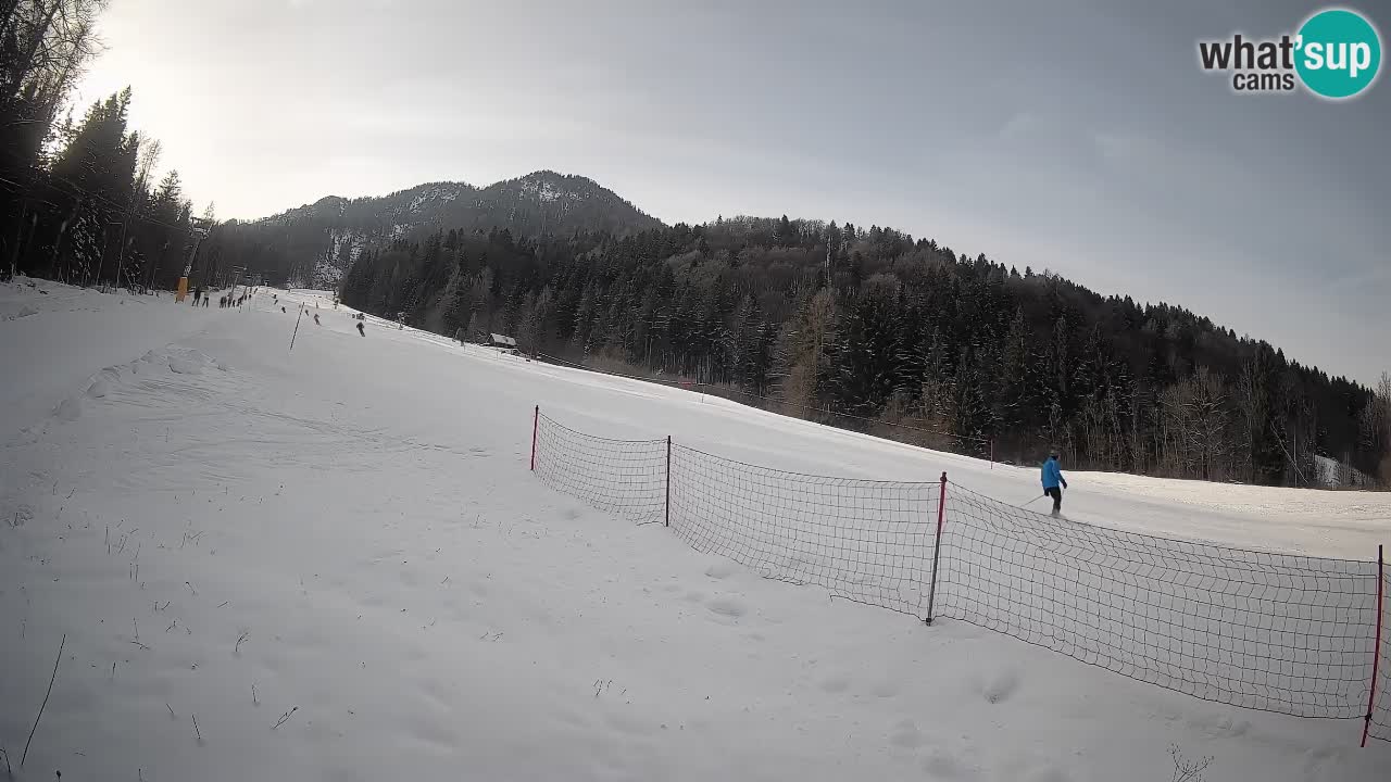 Esquí Kranjska Gora | Brsnina