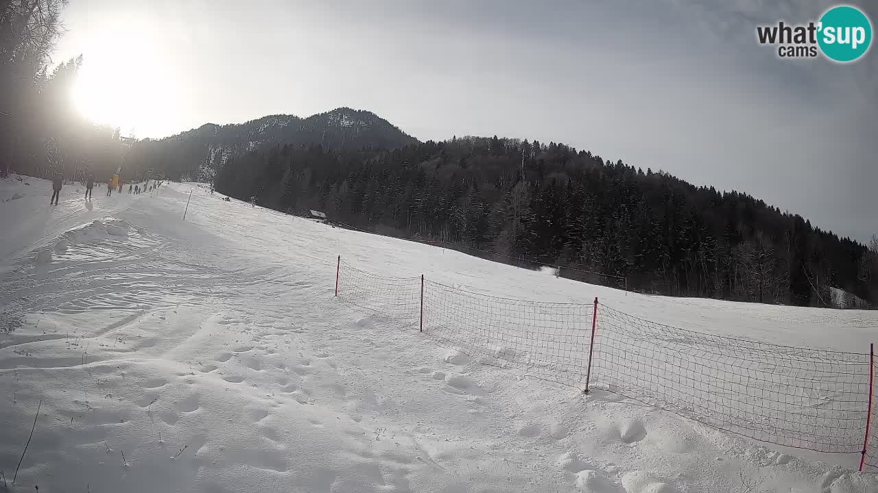 Ski Kranjska Gora | Brsnina