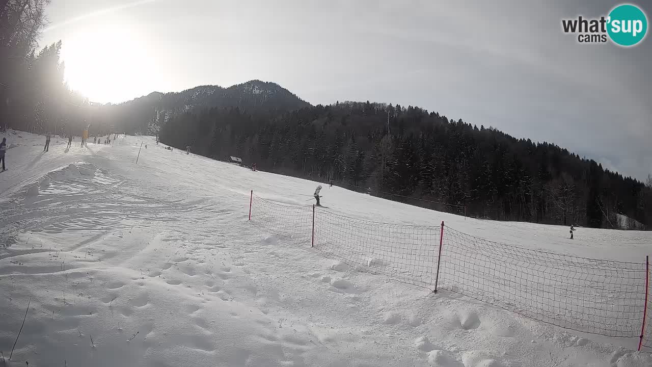 Comprensorio sciistico Kranjska Gora | Brsnina