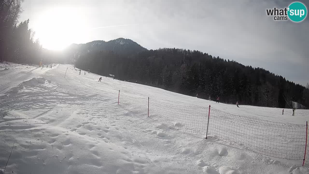RTC Kranjska Gora | Brsnina