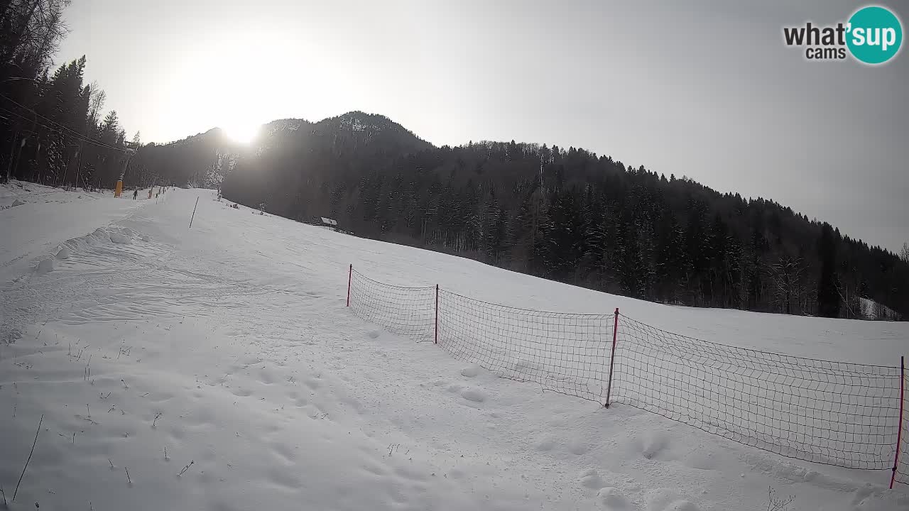 Kranjska Gora SKIJANJE | Brsnina