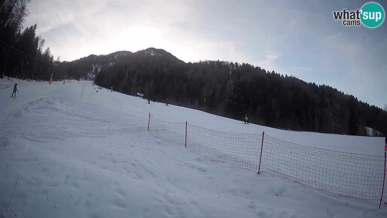 Esquí Kranjska Gora | Brsnina
