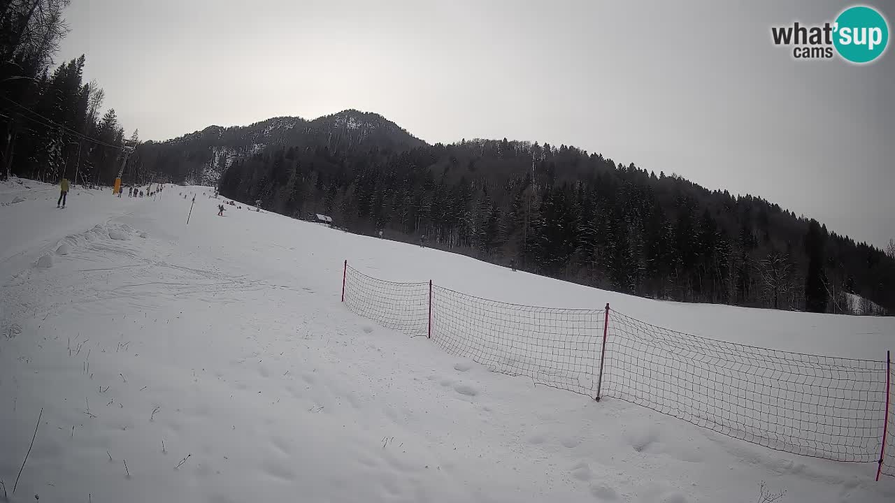 RTC Skigebiet Kranjska Gora | Brsnina