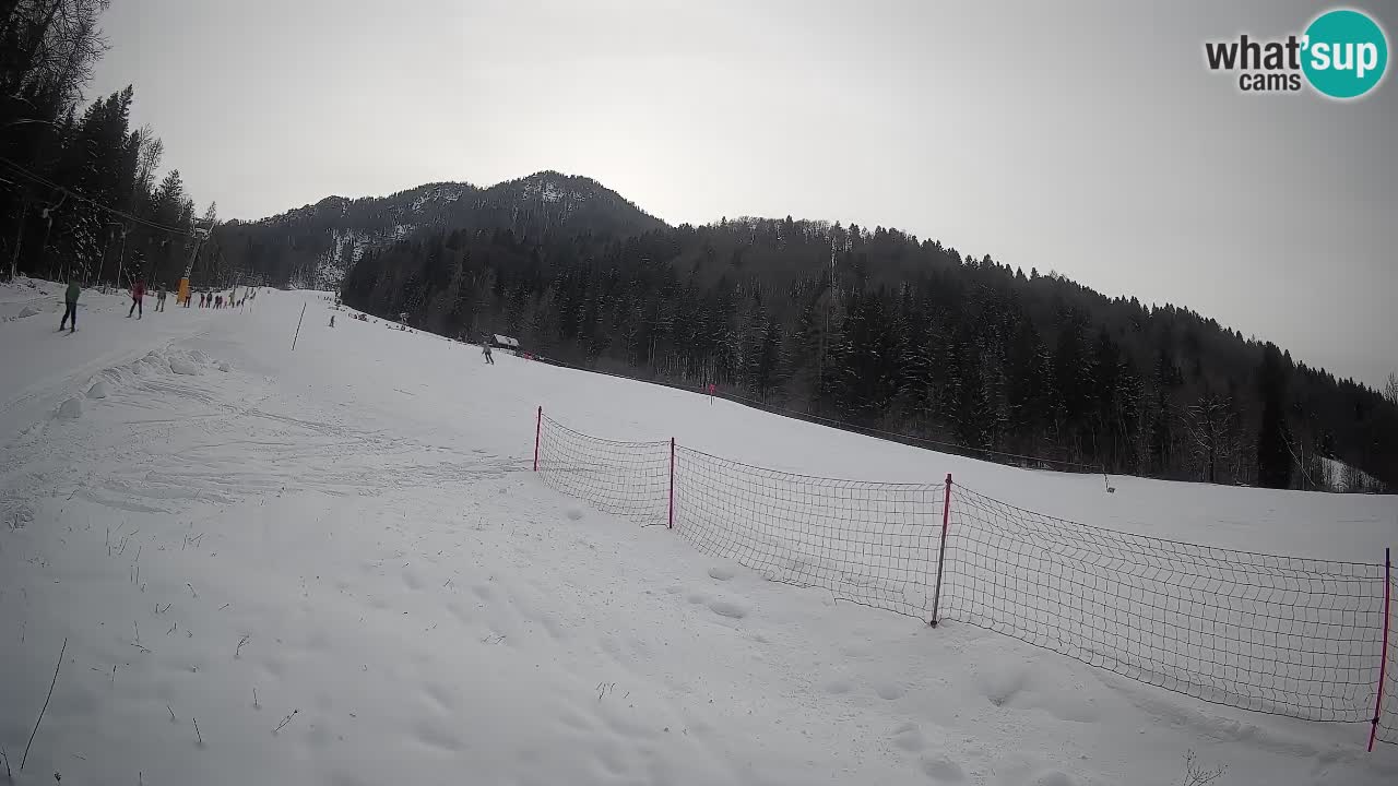 Ski Kranjska Gora | Brsnina