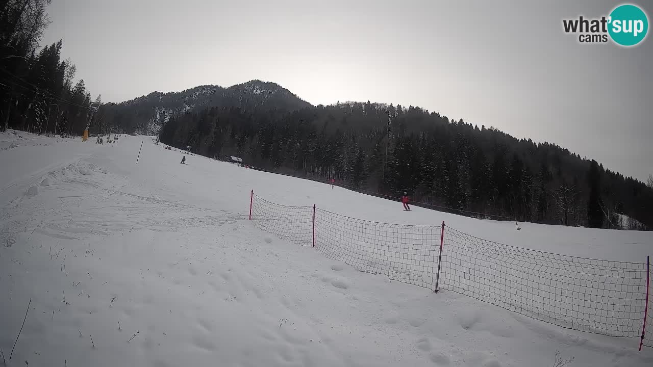 Esquí Kranjska Gora | Brsnina