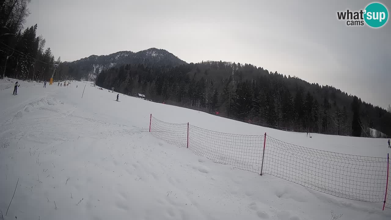 Comprensorio sciistico Kranjska Gora | Brsnina