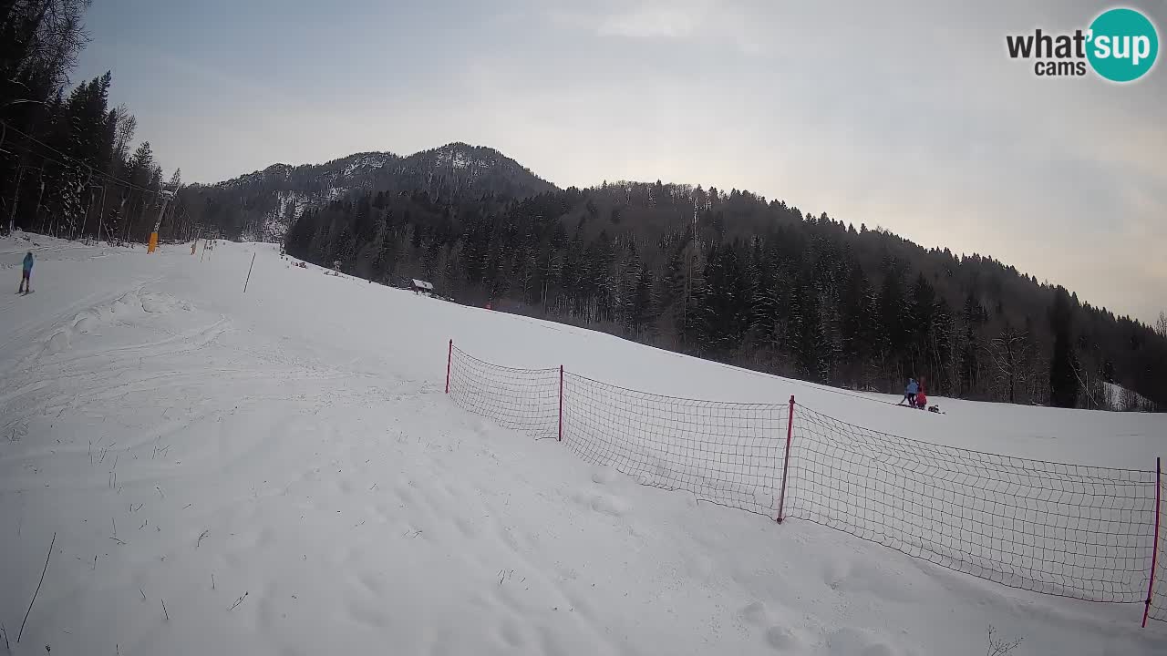 Ski Kranjska Gora | Brsnina