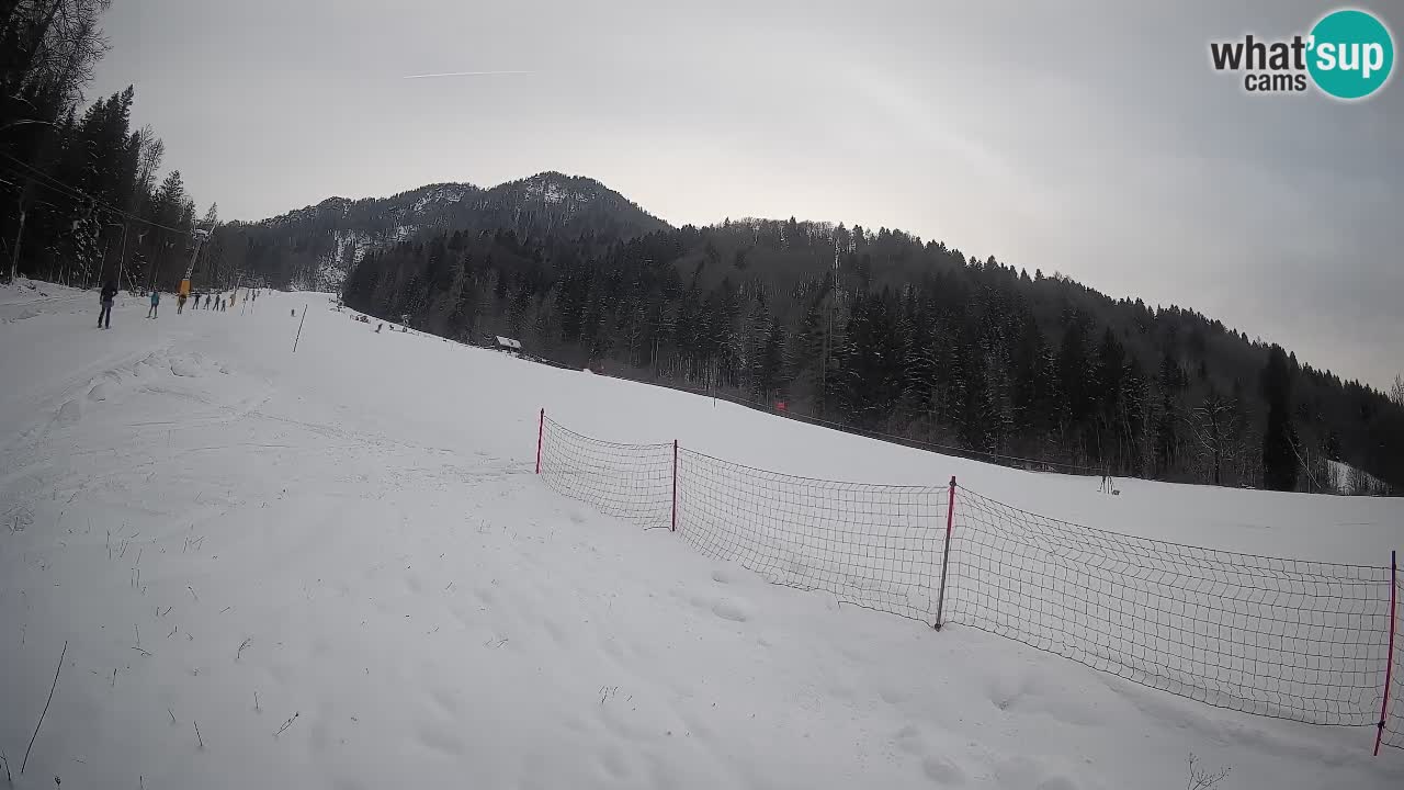 Comprensorio sciistico Kranjska Gora | Brsnina