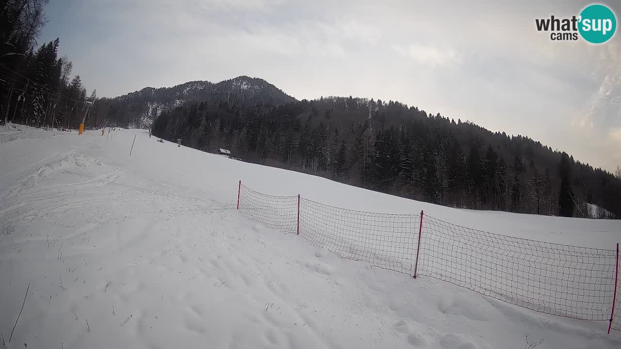 Ski Kranjska Gora | Brsnina
