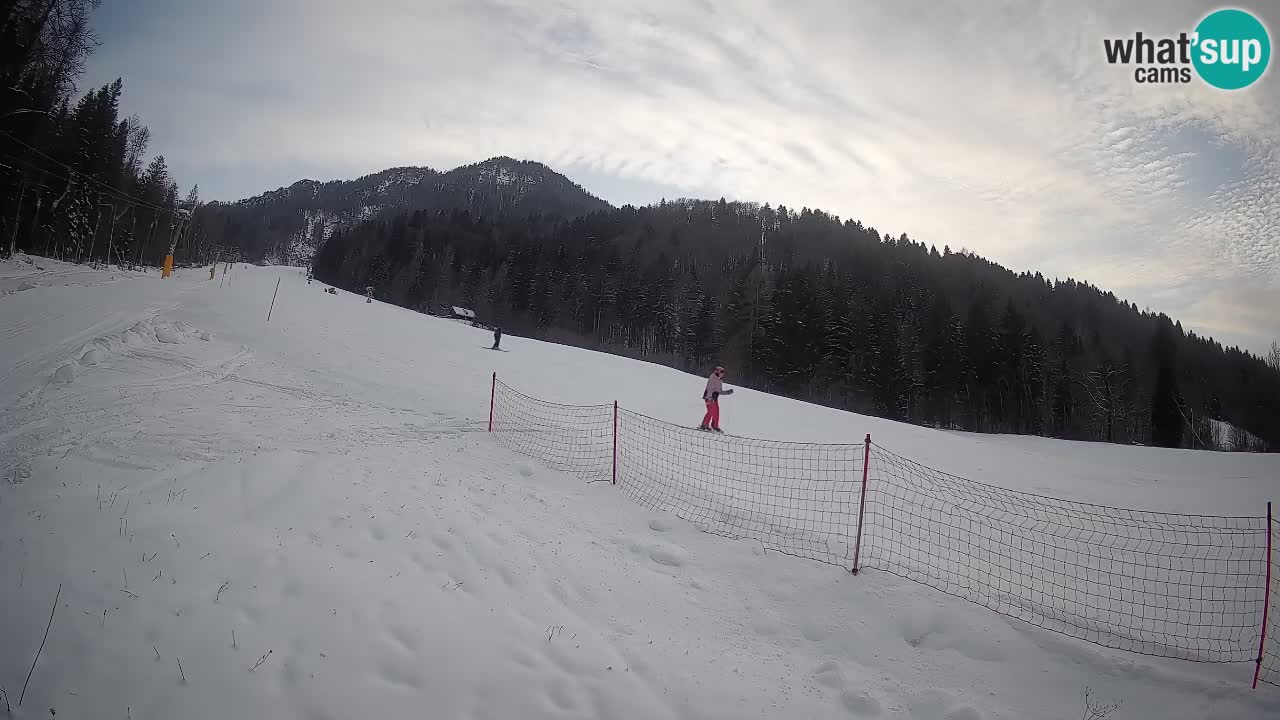 Comprensorio sciistico Kranjska Gora | Brsnina