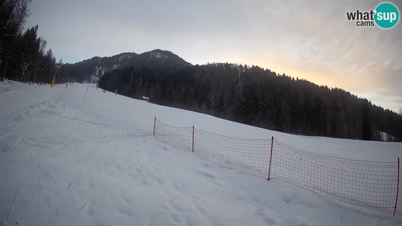 RTC Kranjska Gora | Brsnina