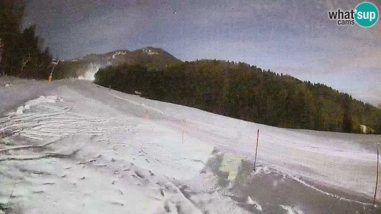 RTC Skigebiet Kranjska Gora | Brsnina