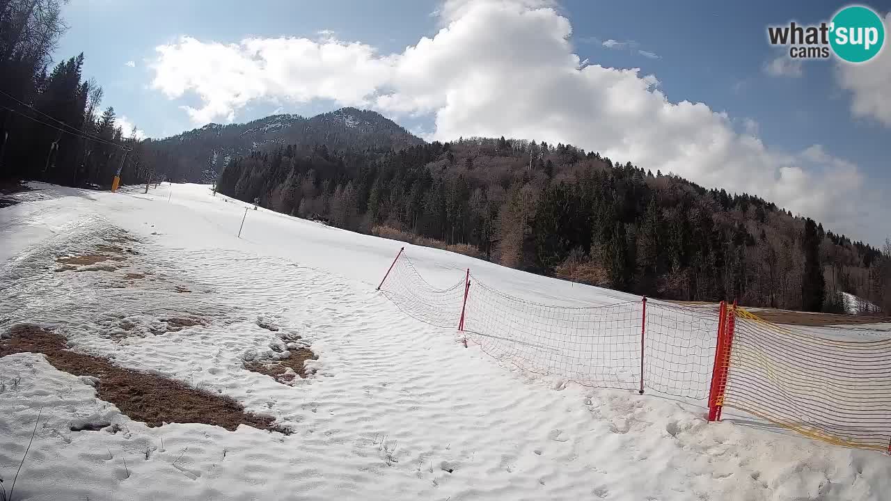 RTC Kranjska Gora | Brsnina