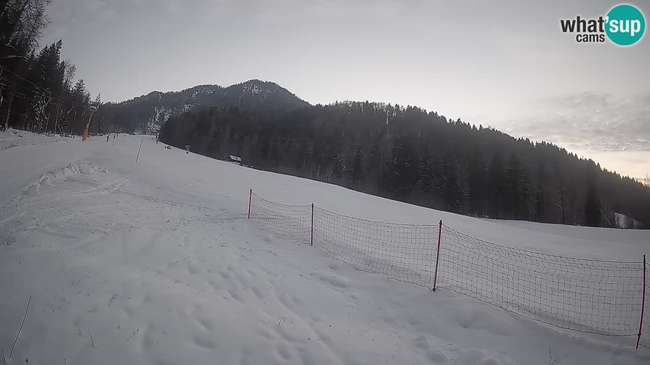 RTC Kranjska Gora | Brsnina