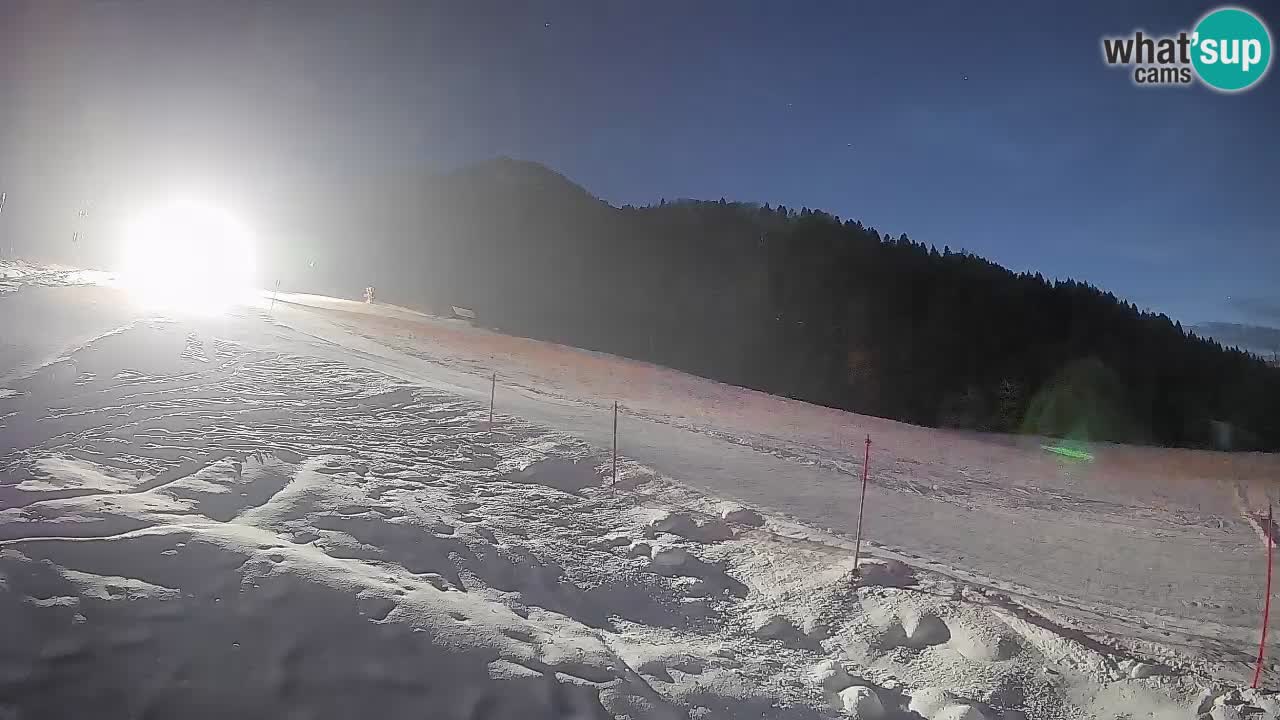 Esquí Kranjska Gora | Brsnina