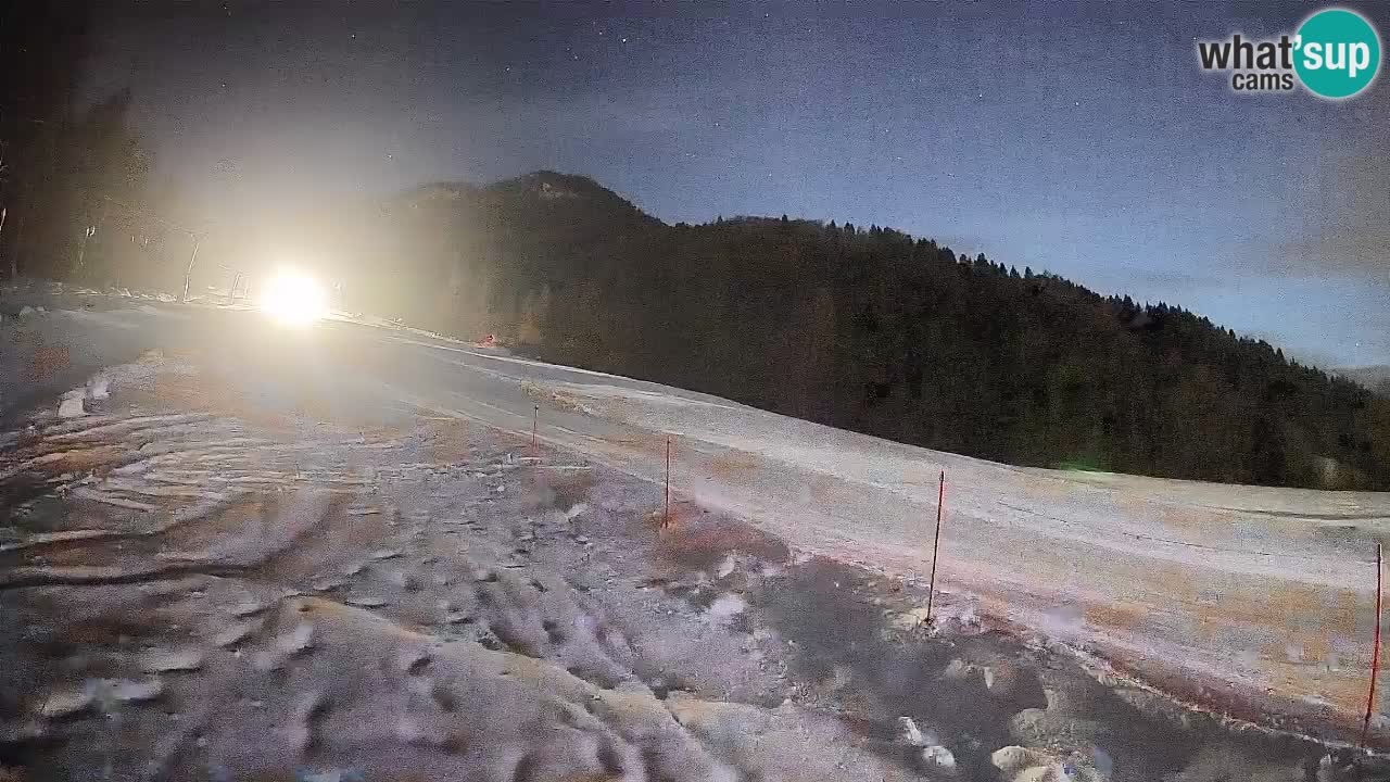 Esquí Kranjska Gora | Brsnina