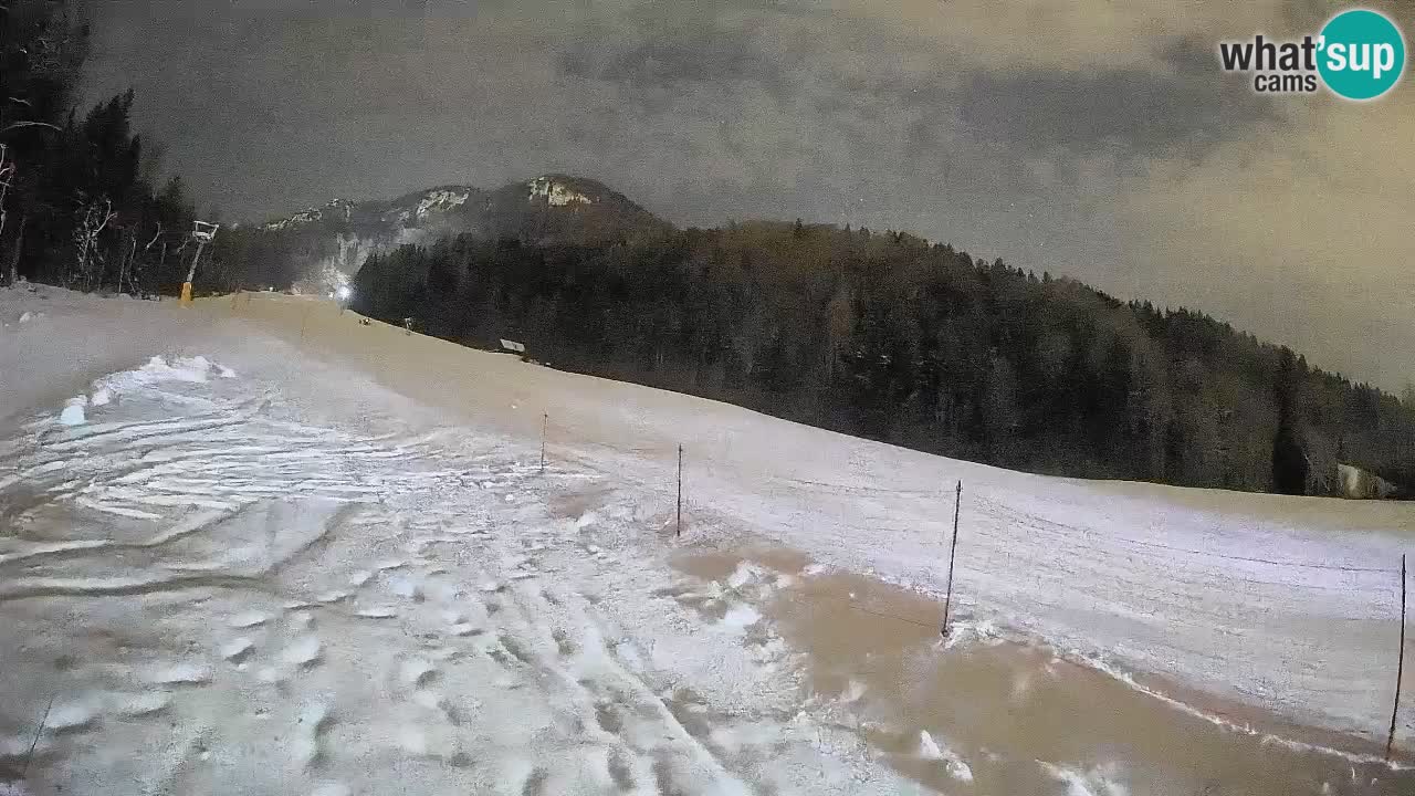 Kranjska Gora SKIJANJE | Brsnina