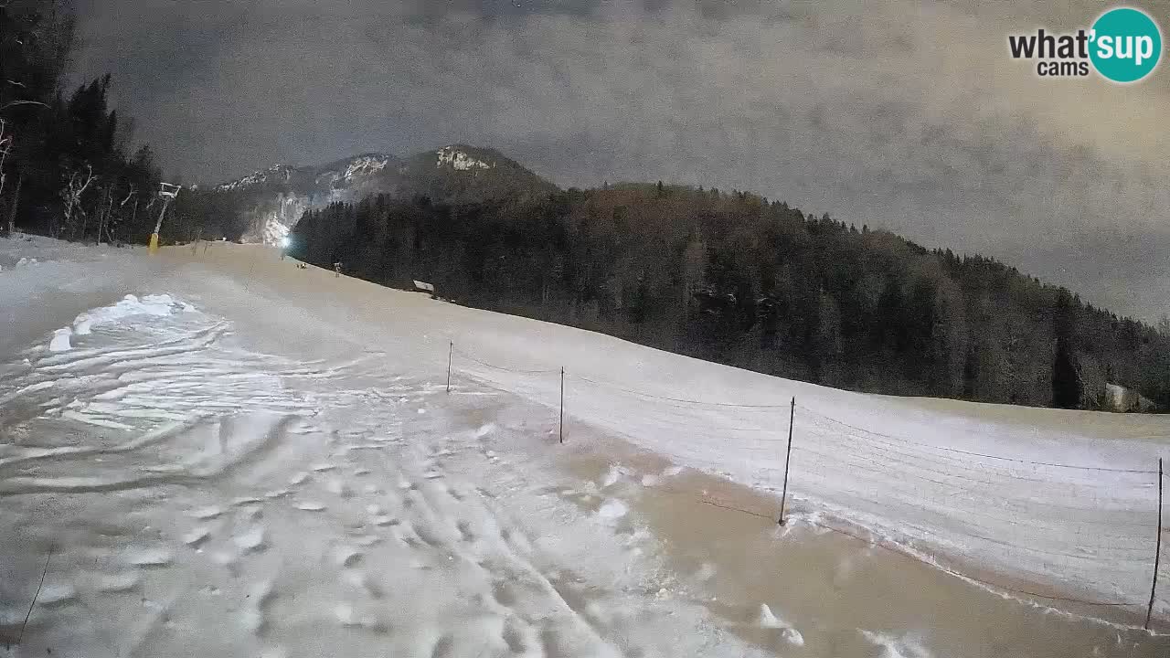 RTC Skigebiet Kranjska Gora | Brsnina