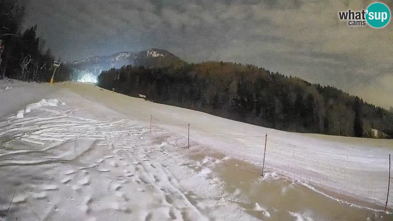 Kranjska Gora SKIJANJE | Brsnina
