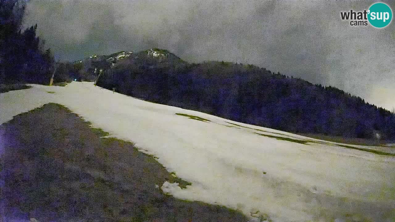 Ski Kranjska Gora | Brsnina