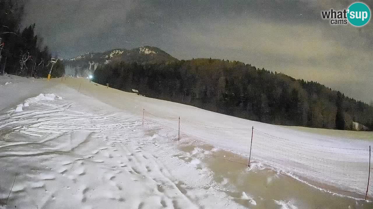 Comprensorio sciistico Kranjska Gora | Brsnina