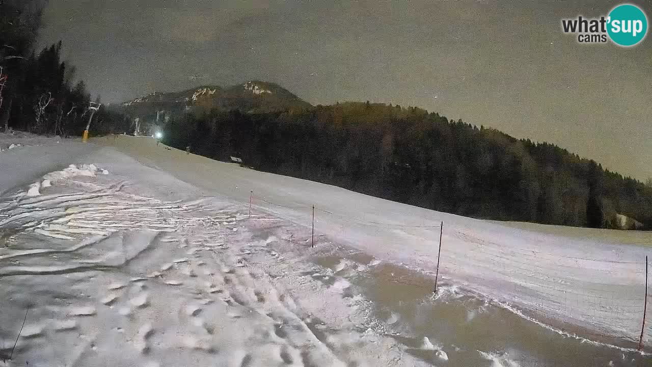 Kranjska Gora Station de ski | Brsnina
