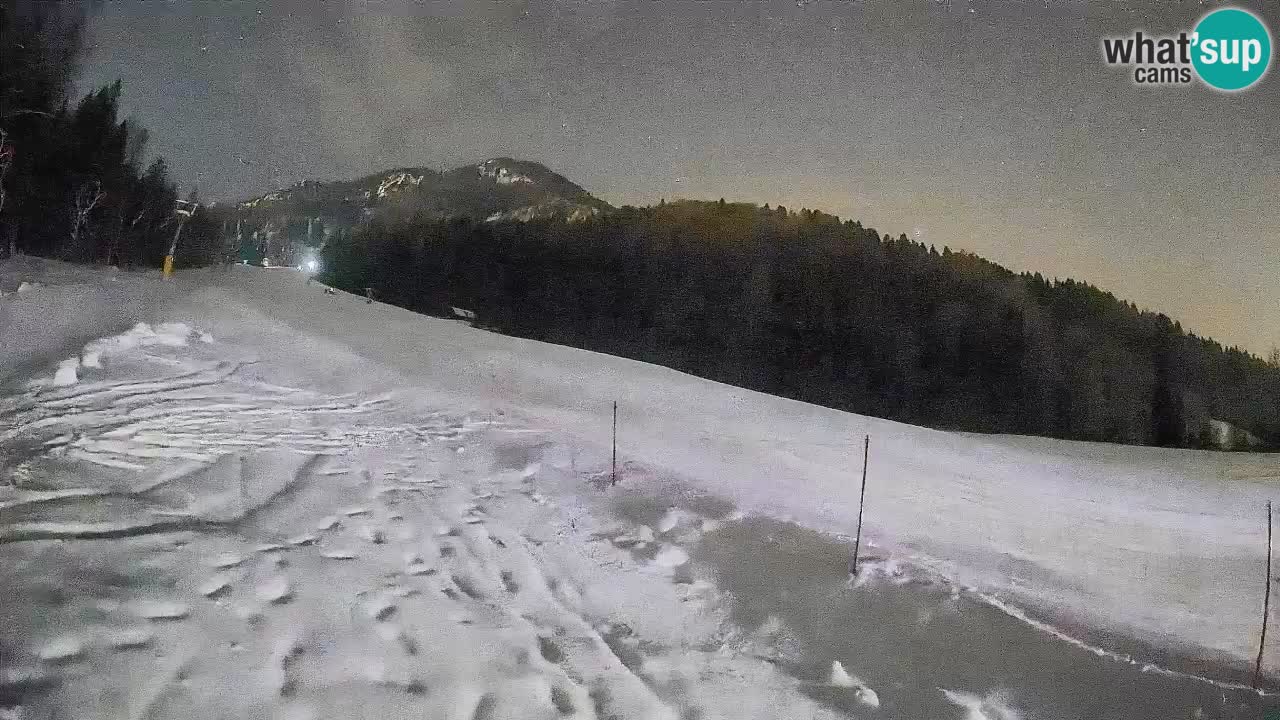 Esquí Kranjska Gora | Brsnina