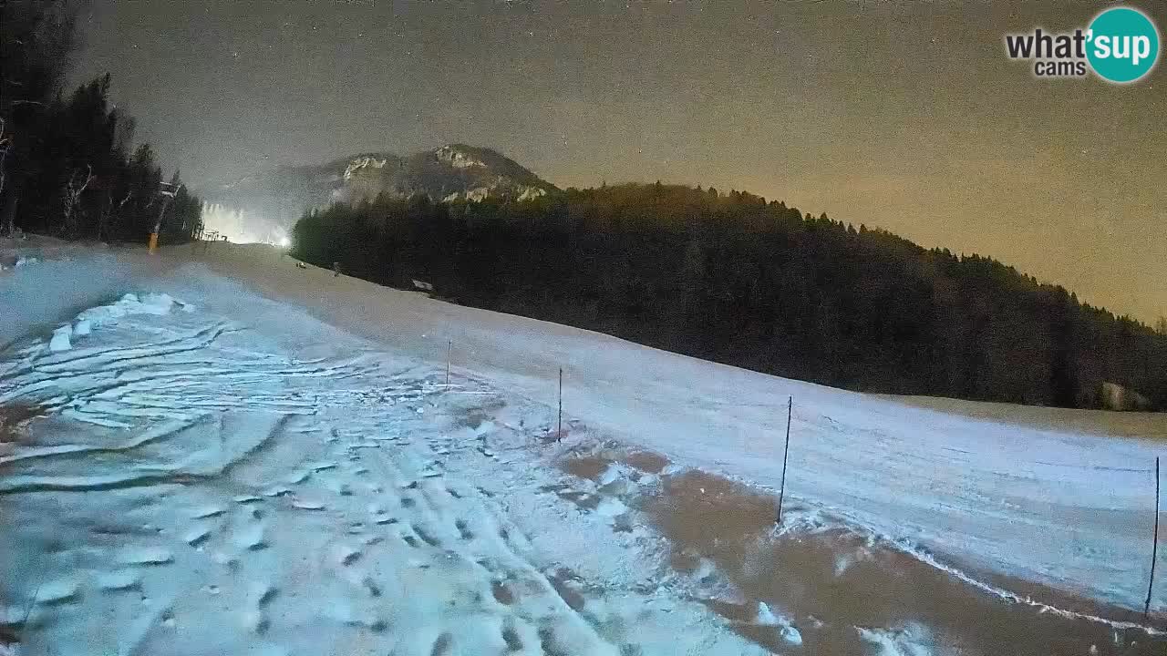RTC Skigebiet Kranjska Gora | Brsnina