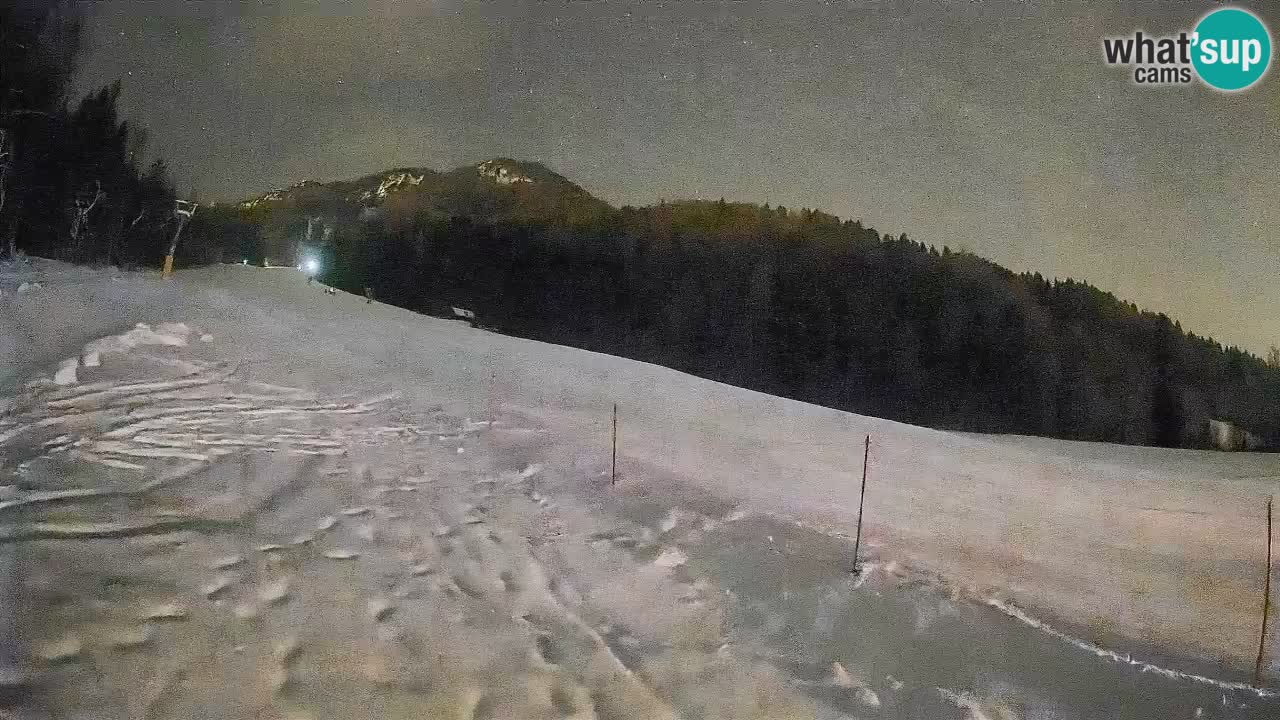 RTC Skigebiet Kranjska Gora | Brsnina