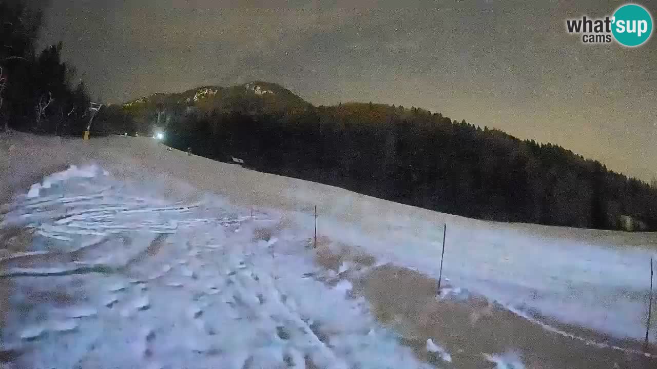 RTC Kranjska Gora | Brsnina