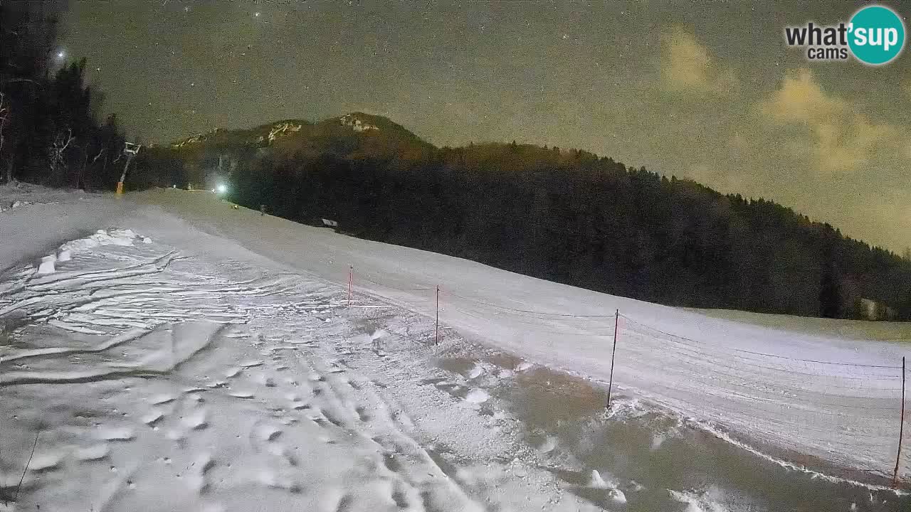 Ski Kranjska Gora | Brsnina